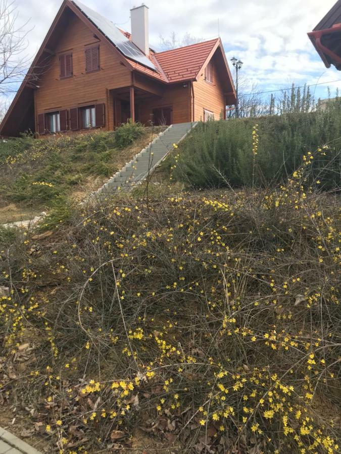 Apartamento Boejti Pince Tormafolde Exterior foto